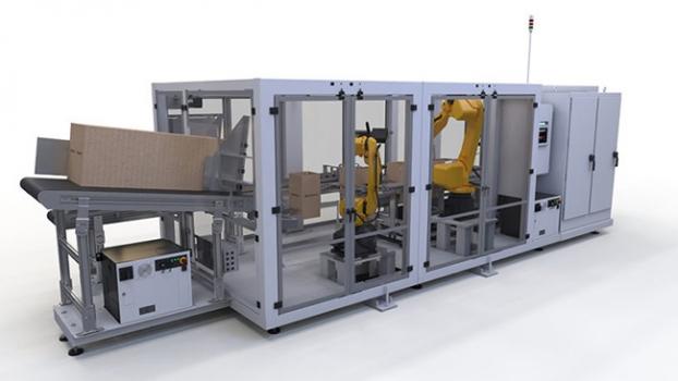 RT1000 Top Load Robotic Case Packer-3