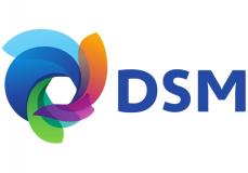 DSM Engineering Materials