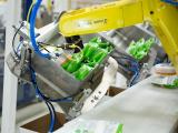 High-Speed Robotic Case Packer
