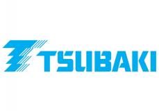 U.S. Tsubaki Power Transmission, LLC