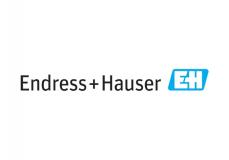 The Endress+Hauser Group