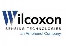 Wilcoxon Sensing Technologies