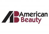 American Beauty Soldering Tools