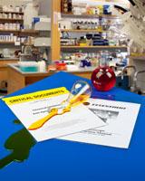 Laboratory Document Holder
