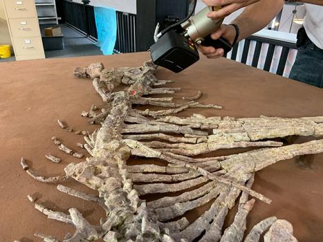 3D Scanner Takes on Rare Prehistoric Fossils-2