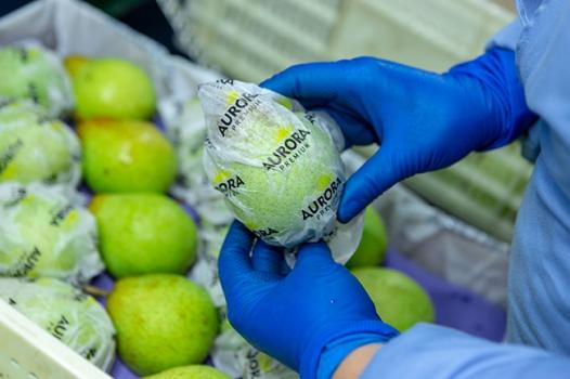 Quality Control: Ensuring Proper Conditions for Fruit Storage