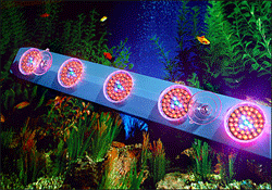 AquariumBar – a Long-Life, Low Power Draw LED Light Source for Aquatic Biota