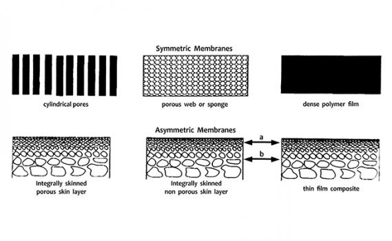 Advantages of Asymmetric Membranes