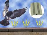 Bird Jolt Flat Track Bird Repellant System