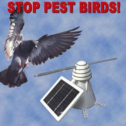 Deter Pest Birds with The Repeller-1