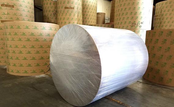 EcoShield Barrier Paper and Linerboard-3