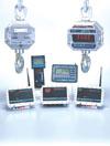 Weighing Systems monitor/control multiple sites wirelessly