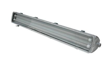 Explosion Proof Class I, Div. II LED Fixture - 4 foot, 2 T-Style LED Lamps - Emergency Ballast