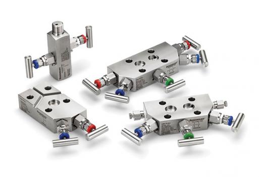 Rosemount Integral and In-line Manifolds (R305 & R306)